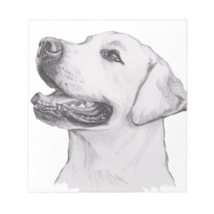 307x307 Yellow Lab Dog Drawing Gifts On Zazzle - Lab Dog Drawing