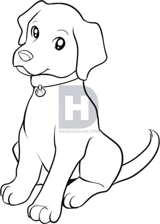 Lab Drawing at Explore collection of Lab Drawing