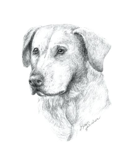 412x518 Lab Drawings Chemical View Black Easy - Lab Drawing