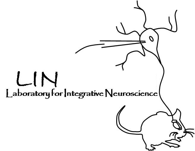 656x509 lin - Lab Mouse Drawing