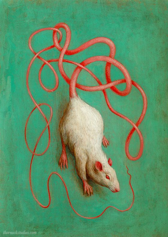 Lab Mouse Drawing at Explore collection of Lab