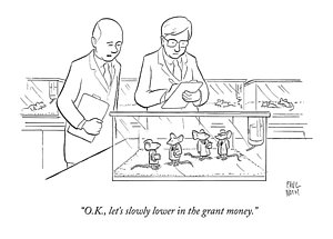 300x215 Lab Rat Drawings Fine Art America - Lab Mouse Drawing