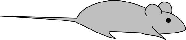 600x129 Light Grey Lab Mouse Clip Art - Lab Mouse Drawing