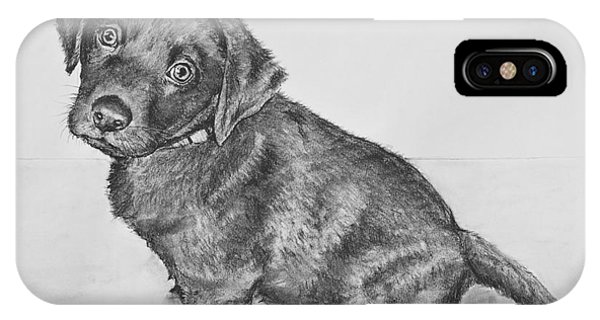 600x320 Chocolate Lab Puppy Artwork Drawing - Lab Puppy Drawing
