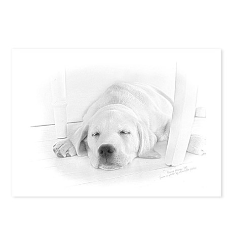 460x460 Labrador Puppy Drawing Postcards - Lab Puppy Drawing