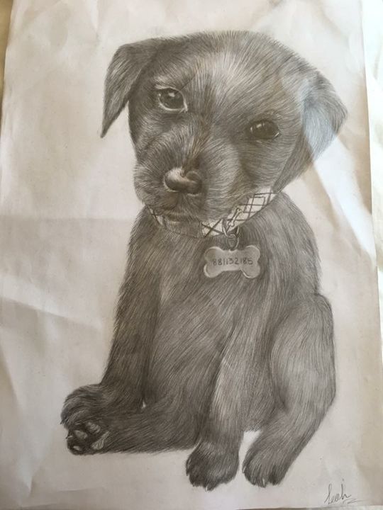 540x720 Labrador Pup - Lab Puppy Drawing