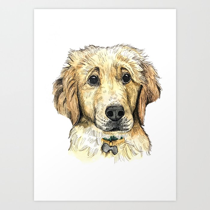 700x700 Yellow Lab Puppy Drawing Art Print - Lab Puppy Drawing