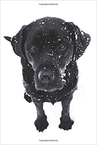 333x499 Black Lab Puppy Planner Dog Wisdom Quotes - Lab Puppy Drawing