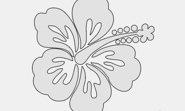 630x380 draw and label hibiscus flower collection of hibiscus flower - Label Drawing