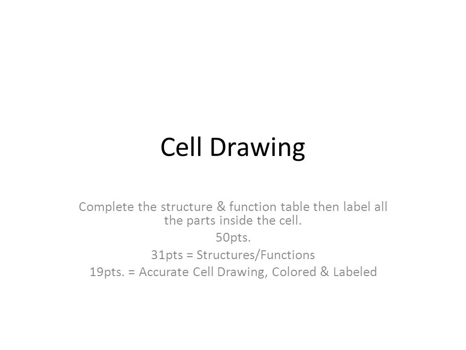 960x720 cell drawing complete the structure function table then label - Label Drawing