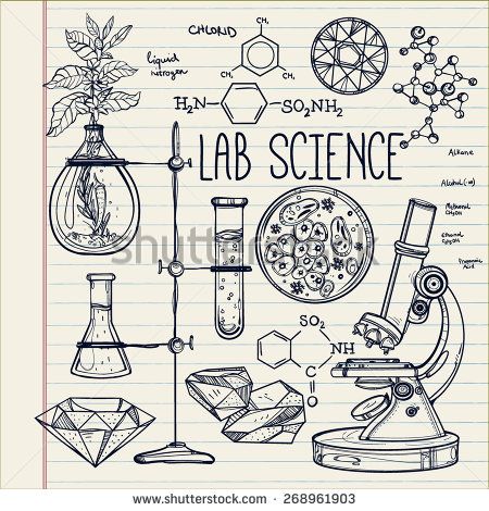450x470 Hand Drawn Vintage Laboratory Icons Sketch Vector Illustration - Laboratory Drawing