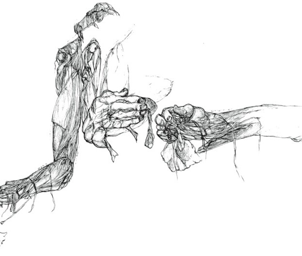 620x526 Joyce Cutler Shaw Newsarticles The Anatomy Lesson Archives - Laboratory Drawing