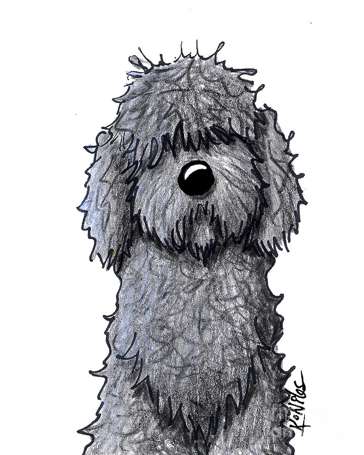 720x900 Black Doodle Dog Drawing - Labradoodle Drawing