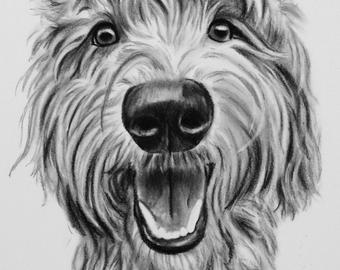 340x270 Custom Dog Drawing Etsy - Labradoodle Drawing