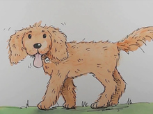 220x165 How To Draw A Cartoon Labradoodle - Labradoodle Drawing