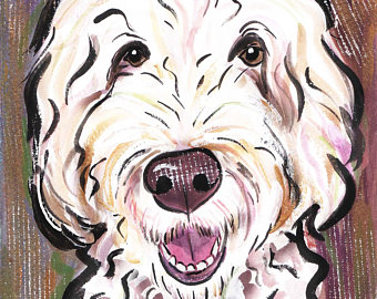 340x270 Labradoodle Portrait Etsy - Labradoodle Drawing