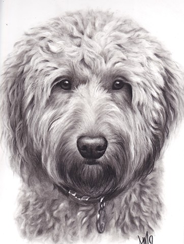 Labradoodle paintings search result at PaintingValley.com