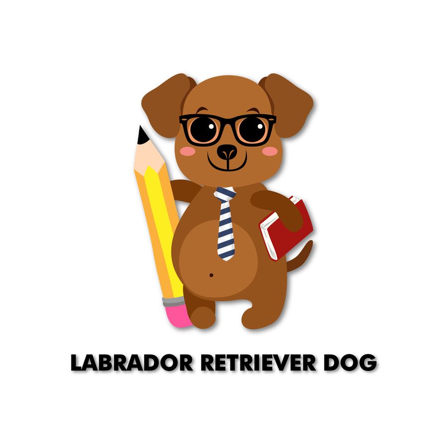 900x900 Entry - Labrador Cartoon Drawing