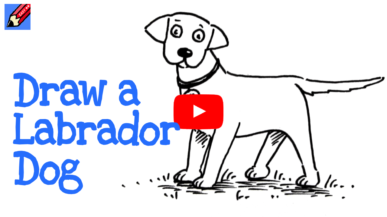 1280x720 how to draw a labrador shoo rayner author - Labrador Cartoon Drawing