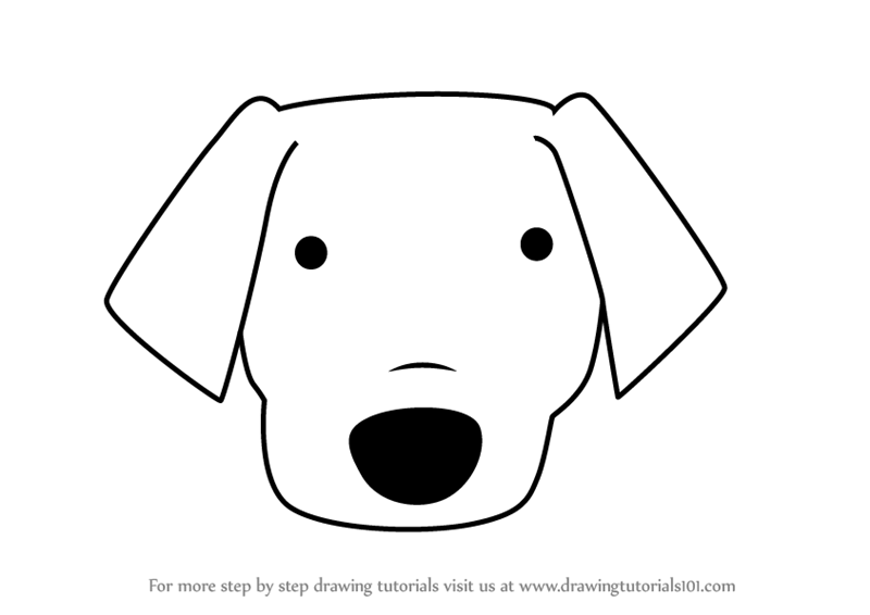 800x566 learn how to draw a labrador dog face for kids - Labrador Cartoon Drawing