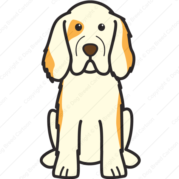 600x600 Puppy, Cartoon, Drawing, Transparent Png Image Clipart Free Download - Labrador Cartoon Drawing