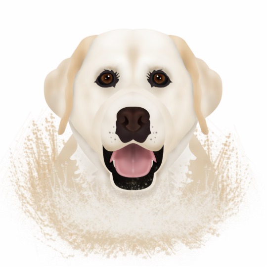 540x540 yellow labrador retriever cartoon statuette - Labrador Cartoon Drawing
