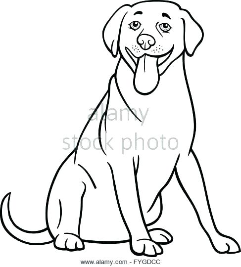 487x540 coloring pages dog coloring pages labrador retriever cartoon - Labrador Cartoon Drawing