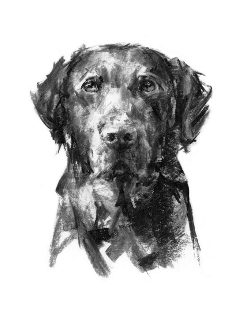 794x1035 dog drawing print black labrador dog portrait drawing fine etsy - Labrador Dog Drawing