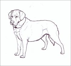 236x219 Easy To Draw Golden Retriever - Labrador Dog Drawing