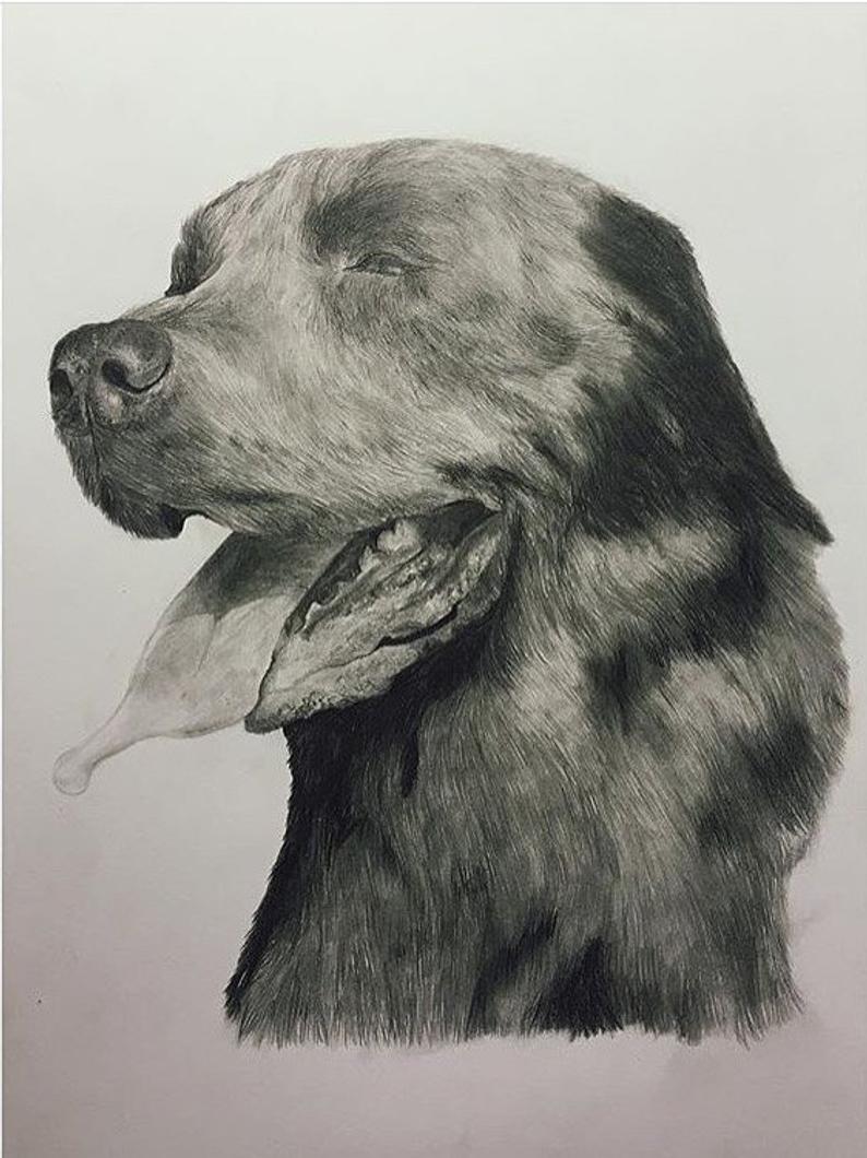 794x1060 Labrador Drawing Print Etsy - Labrador Drawing
