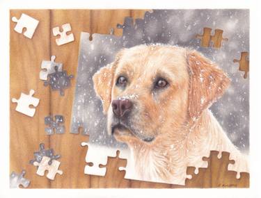 375x285 Winter Labrador Drawing - Labrador Drawing