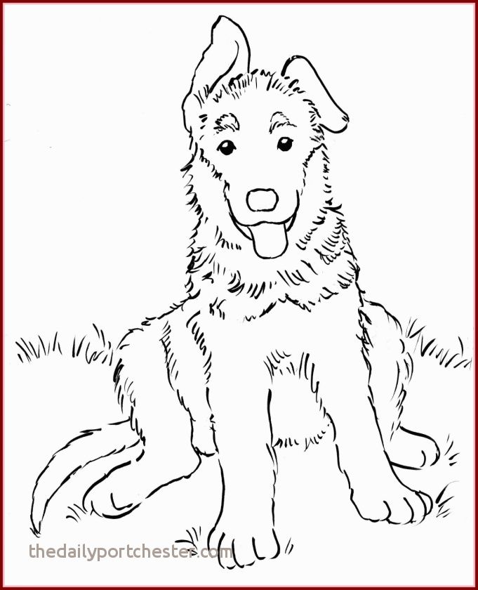 681x840 Labrador Coloring Pages Awesome Lovely Shocking German Shepherd - Labrador Line Drawing