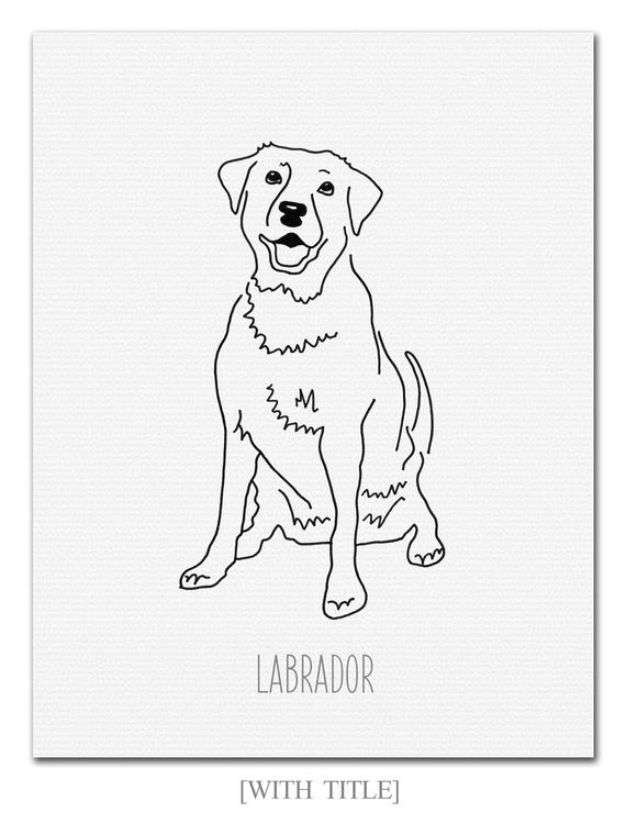 570x750 Labrador Line Art For Dog Lovers Minimalist Wall Art Drawing Etsy - Labrador Line Drawing