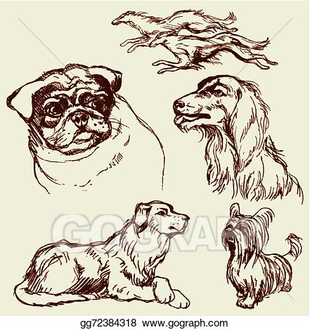 441x470 Labrador Retriever Clipart Line Drawing - Labrador Line Drawing