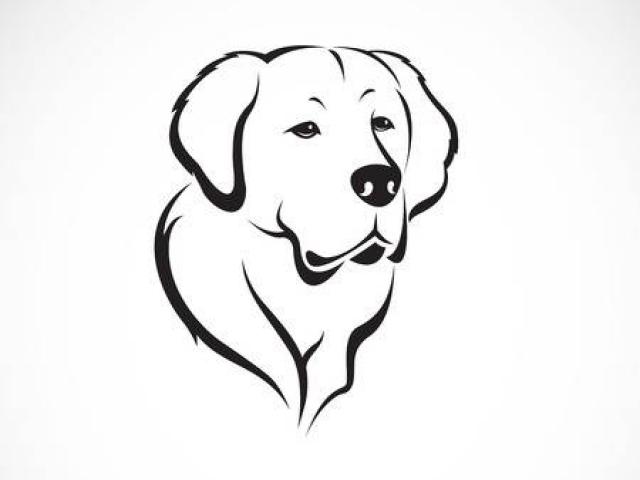 640x480 Labrador Retriever Clipart Line Drawing - Labrador Line Drawing