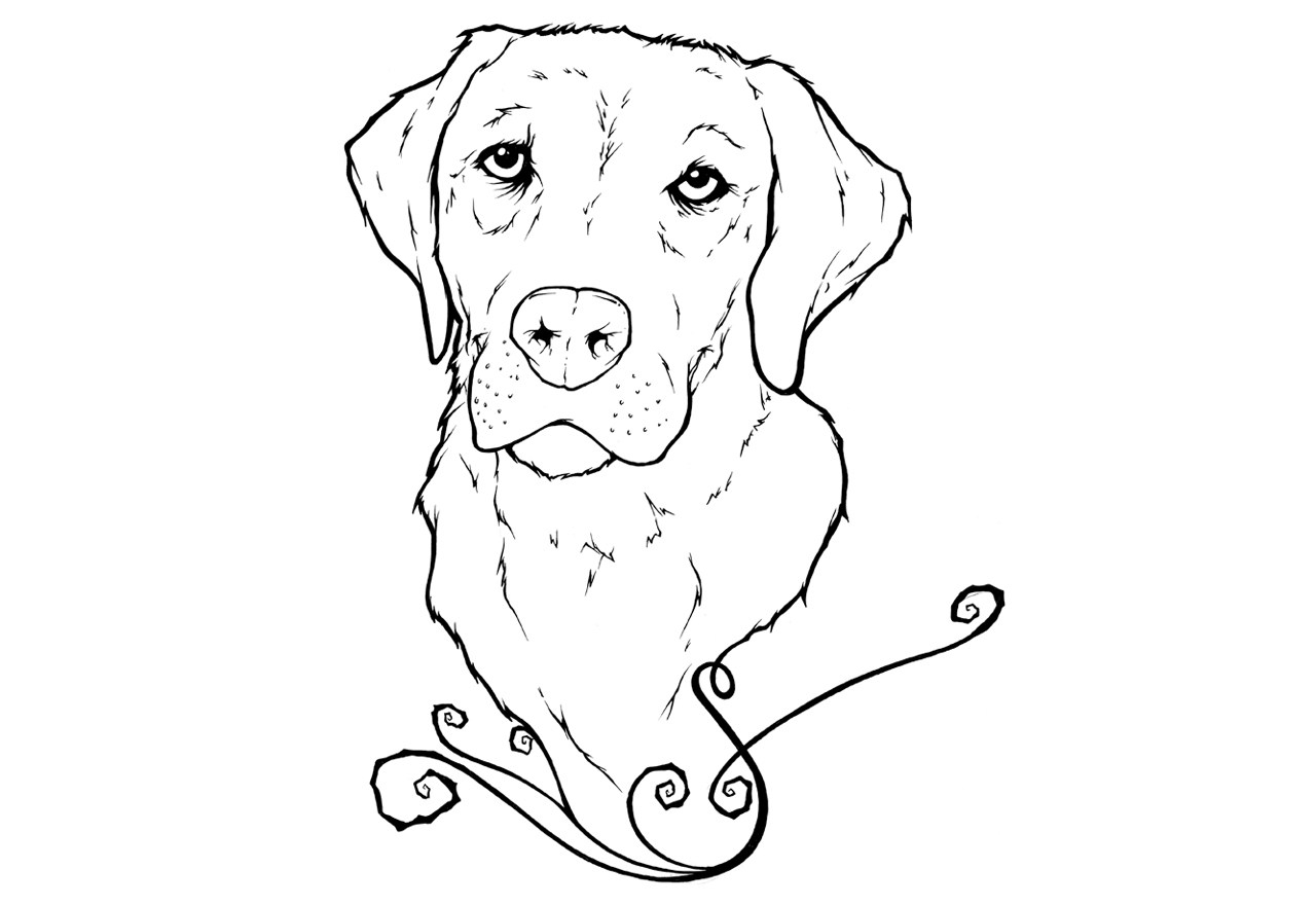1280x880 Labrador Retriever Coloring Pages - Labrador Line Drawing