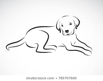 355x280 Vector Dog Labrador On White Within Dog Drawings - Labrador Line Drawing
