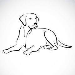 240x240 Vector Image Of An Dog Labrador Dog Art Illustrations - Labrador Line Drawing