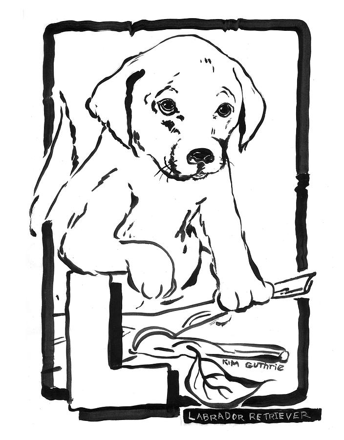 704x900 Dog Drawing Labrador Painting - Labrador Line Drawing