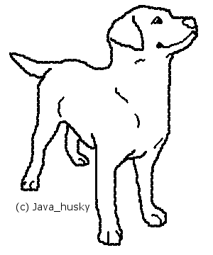 300x360 fanart java husky - Labrador Line Drawing