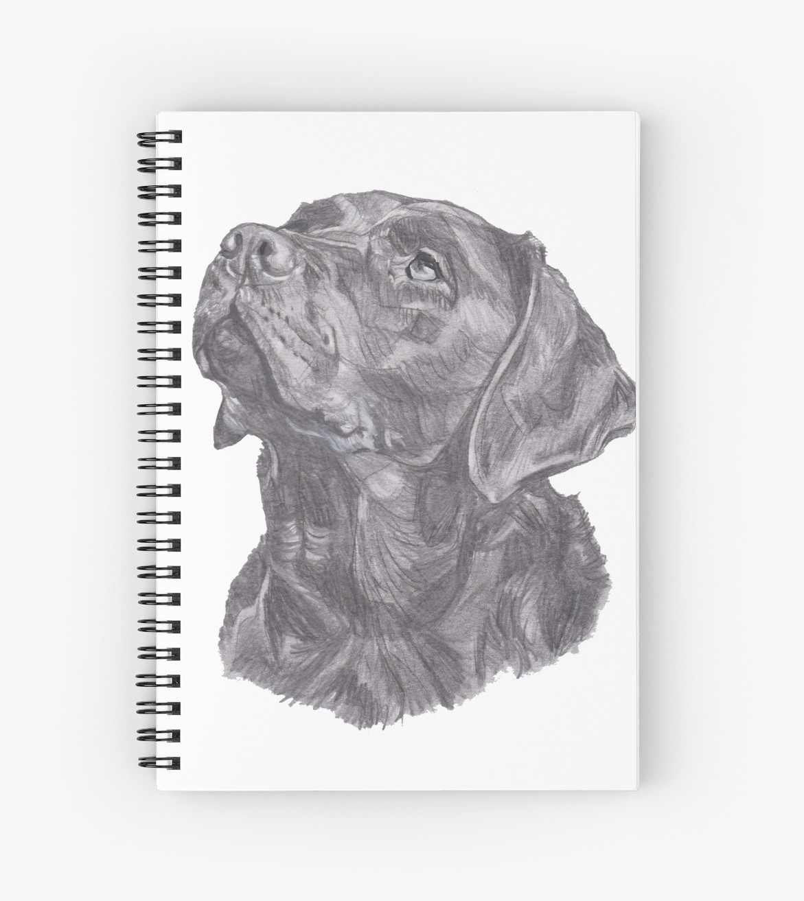 1171x1313 Classic Labrador Retriever Dog Profile Drawing Spiral Notebooks - Labrador Retriever Drawing