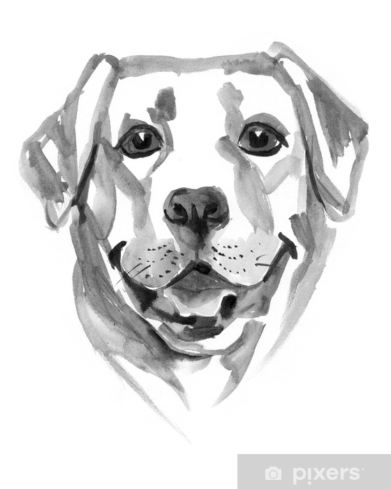560x700 Colored Hand Drawing Labrador Retriever Watercolor Illustration - Labrador Retriever Drawing