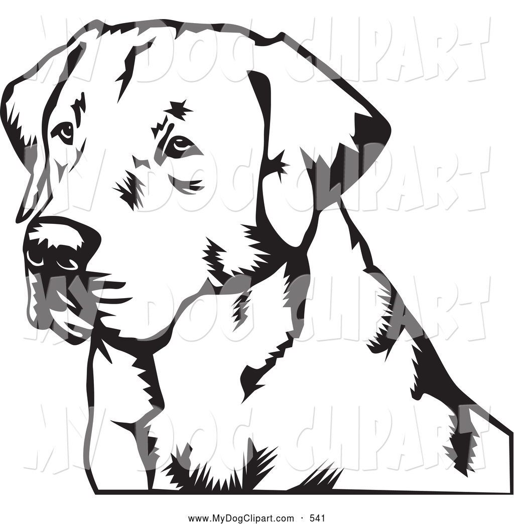 1024x1044 Labrador Retriever Drawings Clipart - Labrador Retriever Drawing