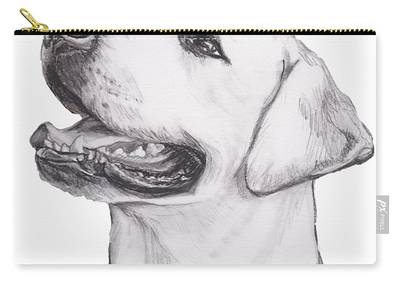 800x570 Labrador Retriever Profile Portrait Drawing Carry All Pouch - Labrador Retriever Drawing