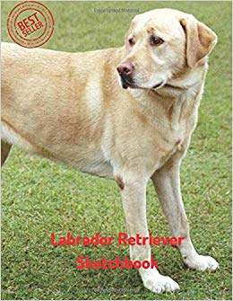 260x335 Labrador Retriever Sketchbook Blank Paper For Drawing, Doodling - Labrador Retriever Drawing