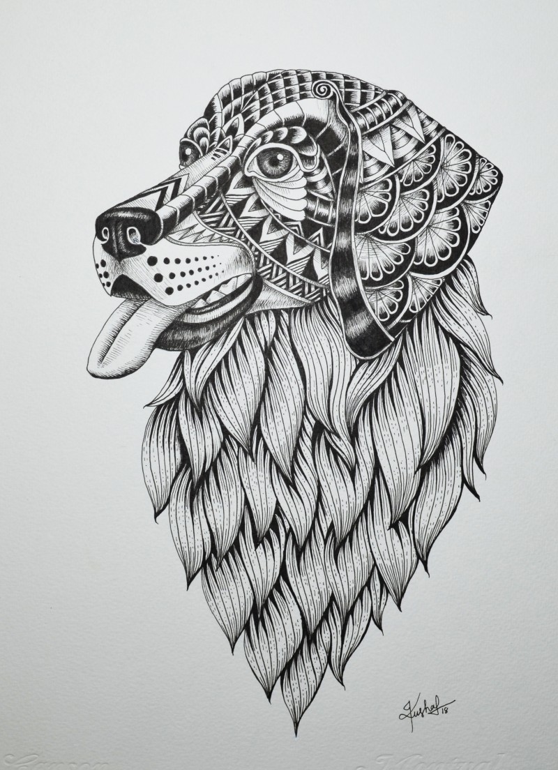 800x1104 Labrador Retriever - Labrador Retriever Drawing