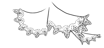 350x163 lace tutorial drawing - Lace Drawing