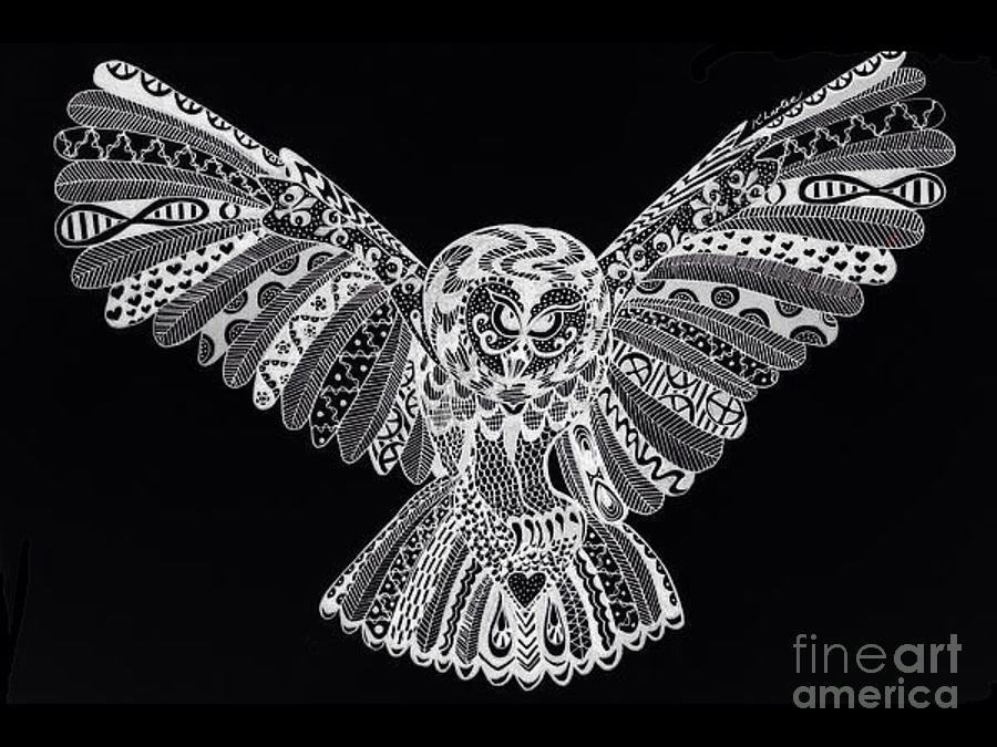 900x675 owl in flight lace drawing - Lace Drawing