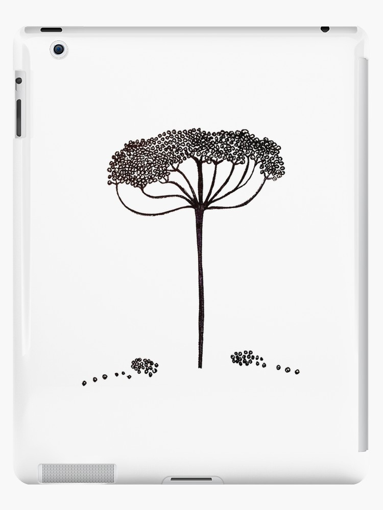 750x1000 line drawing queen anne's lace flower ipad cases skins - Lace Line Drawing