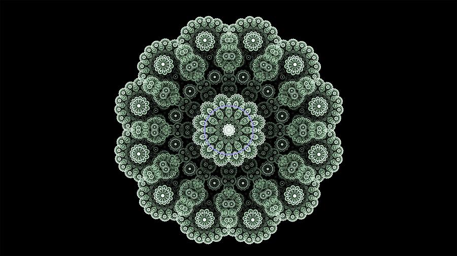 900x505 Fractal Green Lace Pattern Circle Drawing - Lace Pattern Drawing